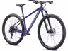 SPECIALIZED Rockhopper Comp 29