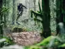 Transition Bikes Patrol Alloy Nx