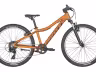 SCOTT Scale 24