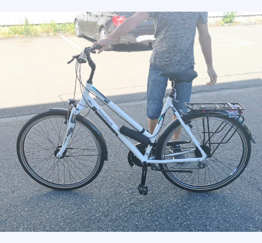 2019 Pegasus Solero SL in Vendita - velocorner