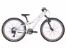 SCOTT Contessa 24