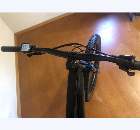 TREK Powerfly LT 9.9