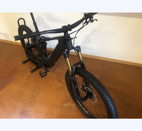 TREK Powerfly LT 9.9