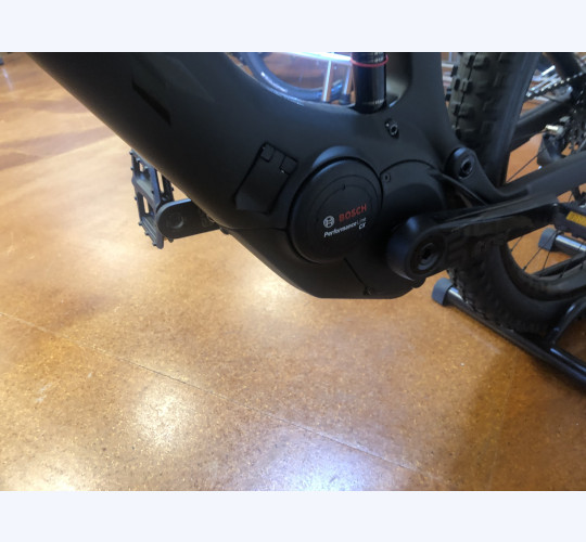 TREK Powerfly LT 9.9
