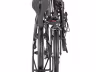 TERN Byb P8