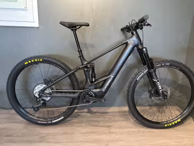 Orbea Wild St H20
