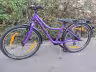 Naloo CHAMELEON Mk2