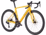 SCOTT Addict RC 10