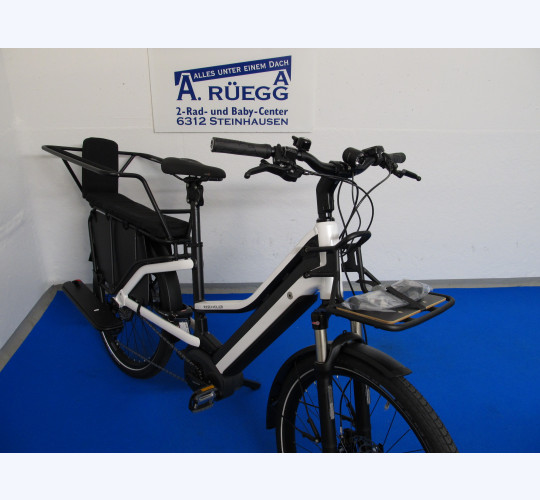Riese & Müller Multicharger Mixte GT touring