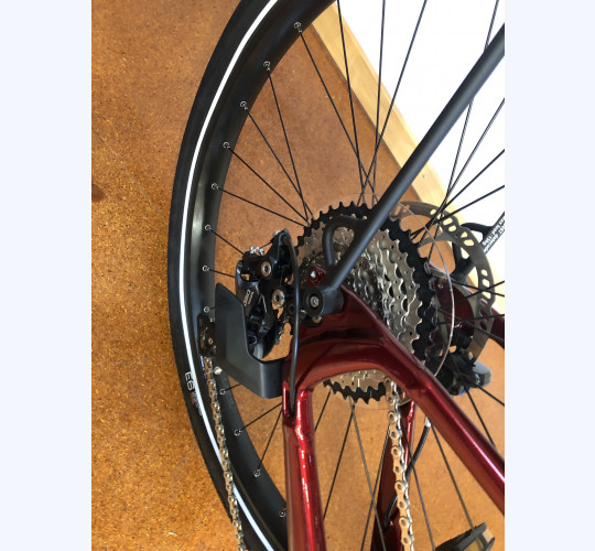 TREK Allant+ 8S Stagger
