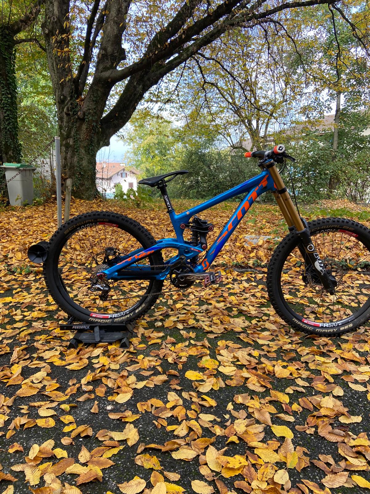 2014 SCOTT Gambler for sale Used, Blue, Large Geneva