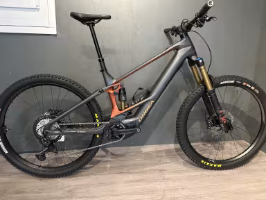 Orbea Wild M-Team