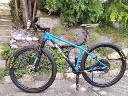 Bergamont Revox Team 2019