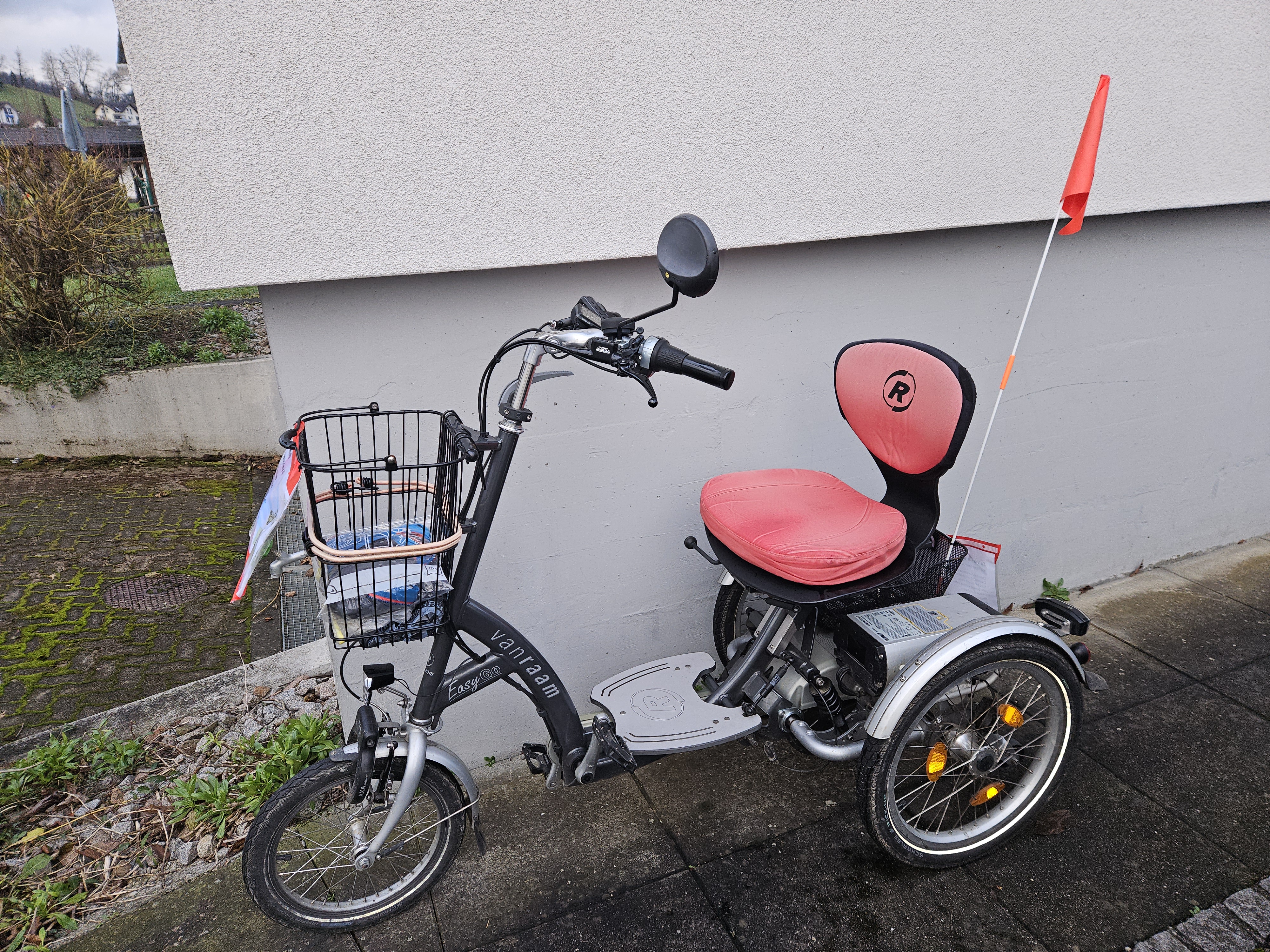 Van Raam Easy Go Electric Bikes Tricycle Van Raam Van Raam Easy - Main Image