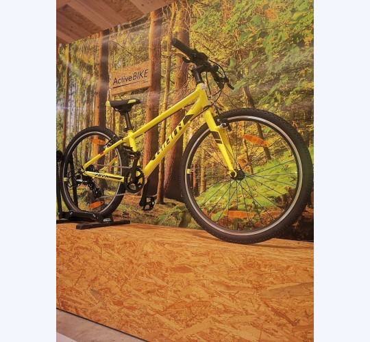 Giant ARX Junior 20
