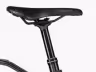 Riese & Müller Delite5 Gt Pinion Hs