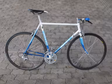 Mondia Champion