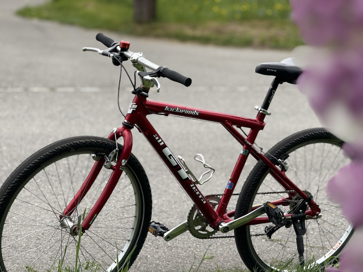 GT Backwoods for sale Used, Red, 47cm Bern