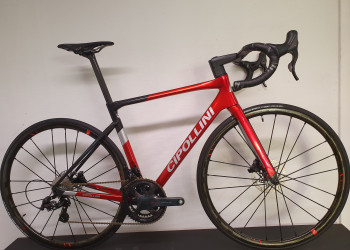 2016 Cipollini Logos in Vendita - velocorner