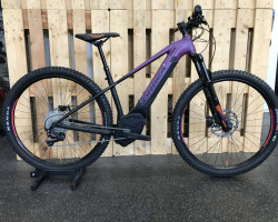 Buy Orbea Wild HT 30 Bicycle or E-Bike 