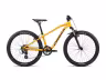 Orbea MX 24 XC