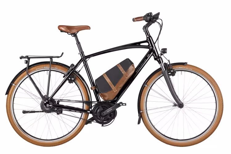 Riese & Müller Cruiser Vario