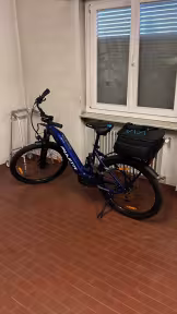 Fujita Voyager Pro