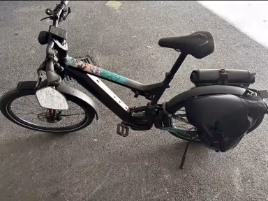 Riese & Müller Delite 29" Touring Hs