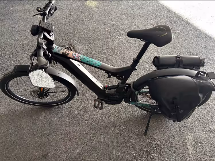 Riese & Müller Delite 29" Touring Hs