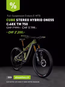 Cube Stereo Hybrid ONE55 C:68X TM 750 29
