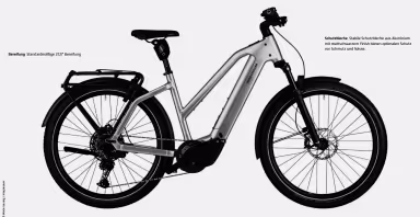 Riese & Müller Charger