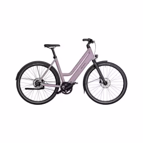 Riese & Müller E-Bike Culture Mixte Silent
