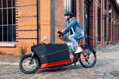 Riese & Müller Packster 70 Vario