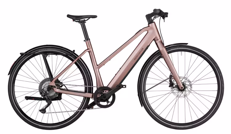 Riese & Müller Ubn Seven Touring