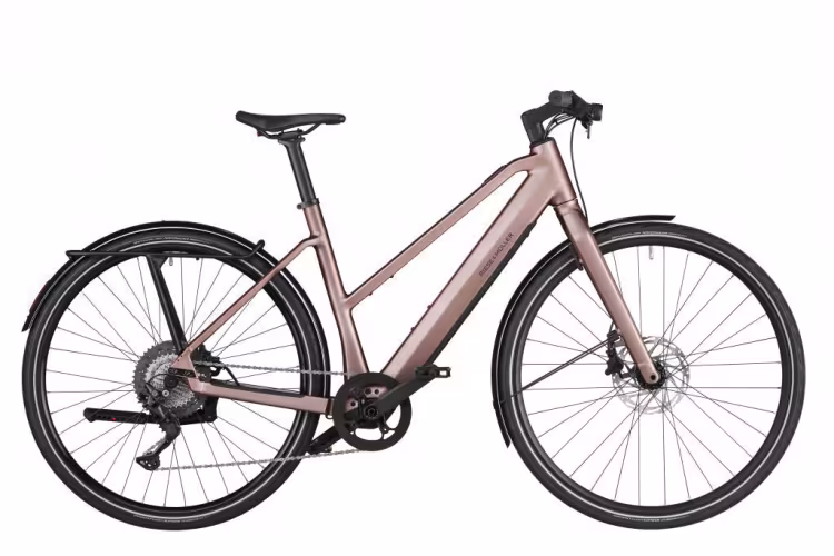 Riese & Müller Ubn Seven Touring