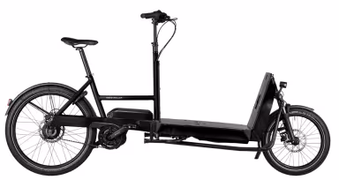Riese & Müller Transporter 65 Vario
