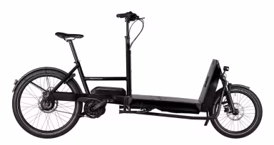 Riese & Müller Transporter 65 Vario