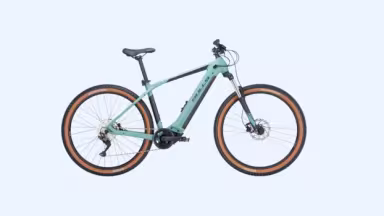 Bulls Copperhead EVO 1 29