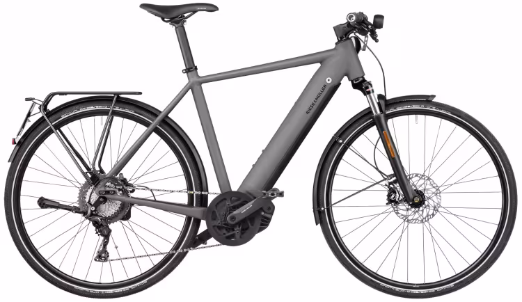 Riese & Müller Roadster4 Touring Hs