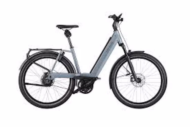 Riese & Müller Nevo GT vario