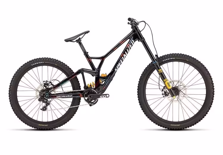 SPECIALIZED Demo Race