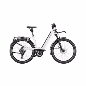 Riese & Müller E-Bike Nevo4 Gt Touring