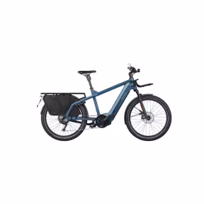 Riese & Müller E-Bike Cargo Multicharger2 Gt Touring Hs 45