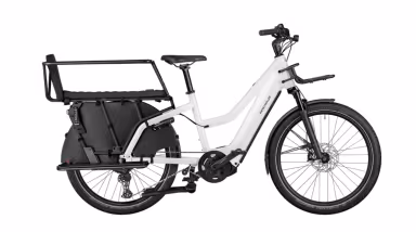 Riese & Müller Multicharger Mixte GT vario