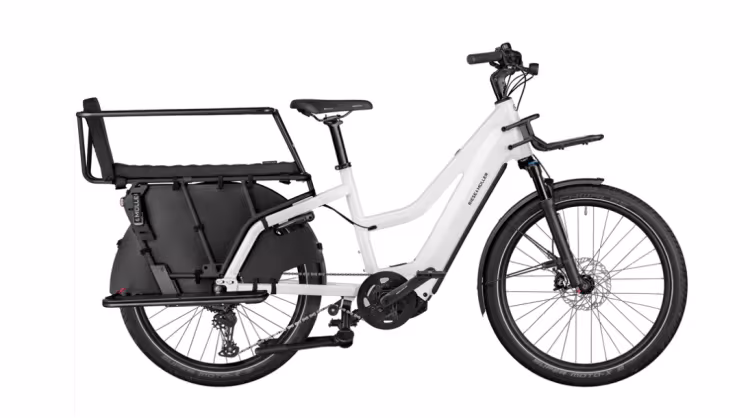 Riese & Müller Multicharger Mixte GT vario