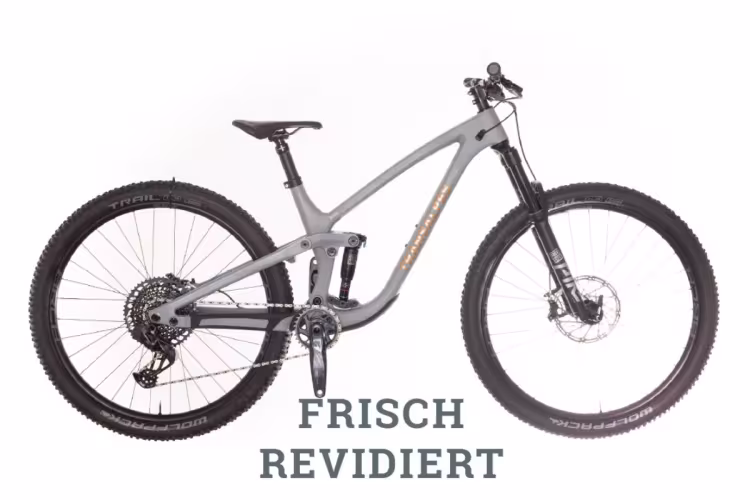 Transalpes C2 Trail