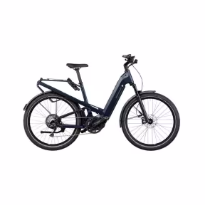 Riese & Müller E-Bike Homage Gt Touring