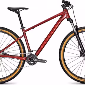 Focus Whistler 3.7
