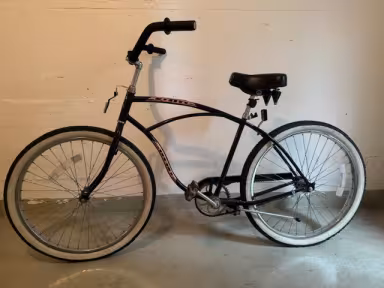 Schwinn Cruiser