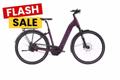 Tour de Suisse E-Bike Charisma 45